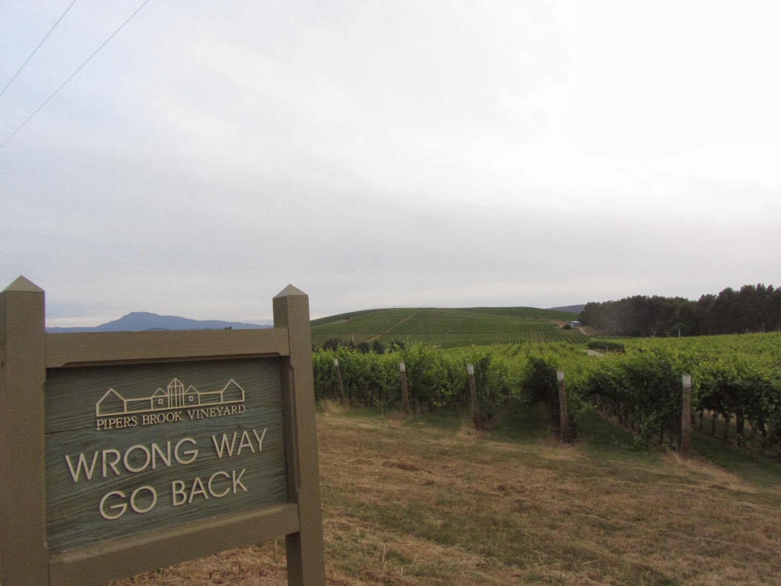 太多選擇的煩惱？ 旅行的機會成本 3