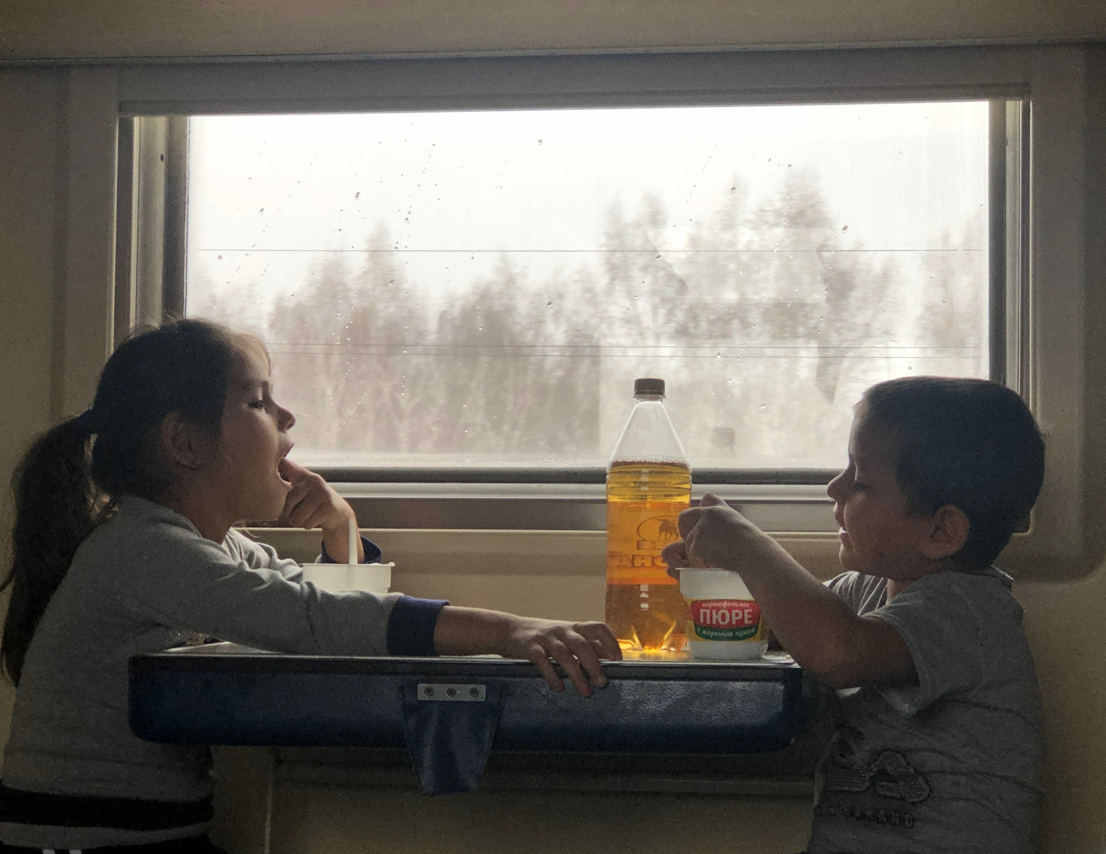 乘坐西伯利亞鐵路上的小乘客