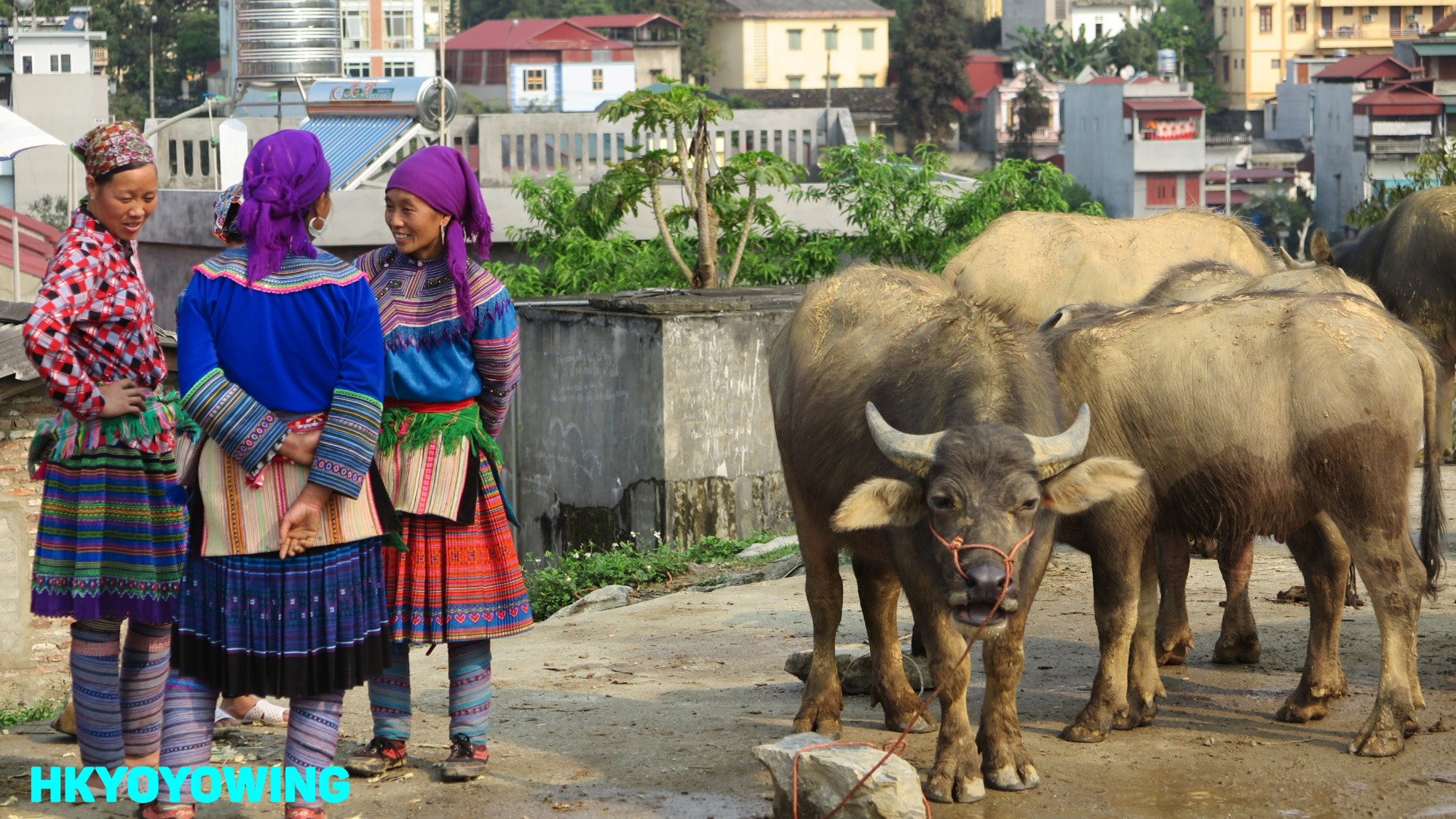 北河市集售賣農牧產品