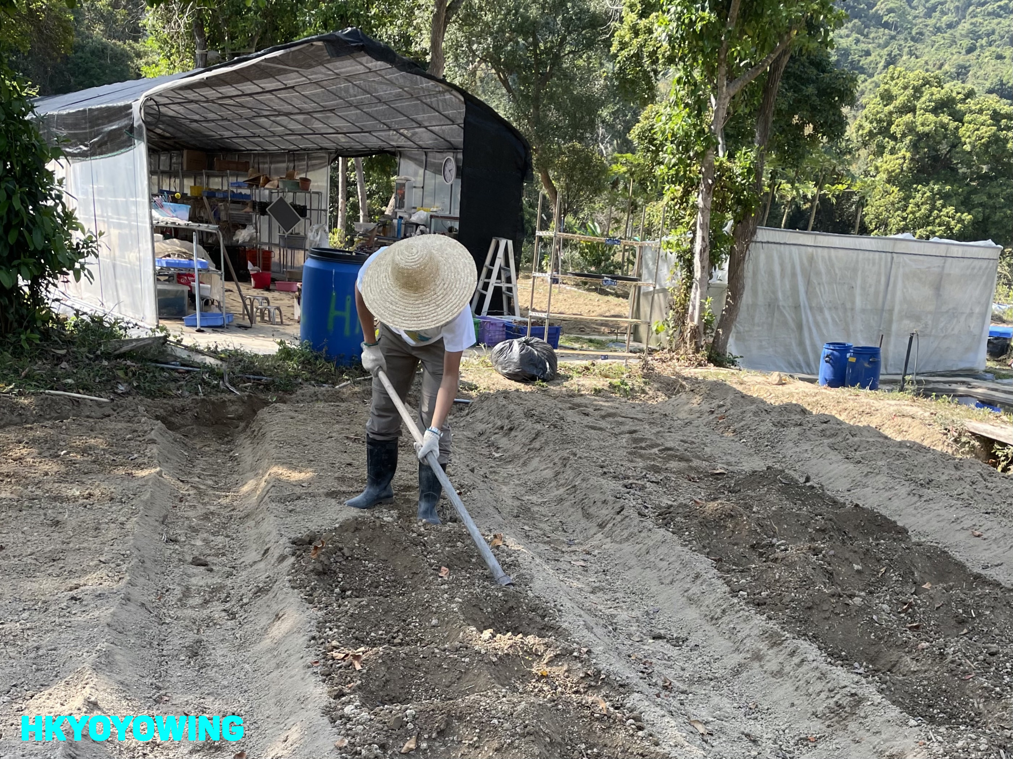 學會鋤地時如何發力才能有效得來不傷腰十分重要
